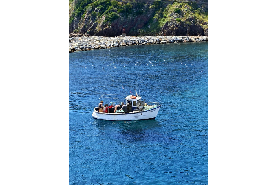 Capraia, pesca