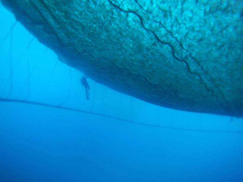Sub sotto la gabbia dell'acquacoltura
