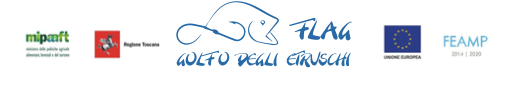 Intestazione comunicato stampa