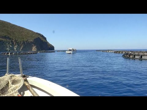 NoiTV - Il patto per Capraia (28 giugno 2019)