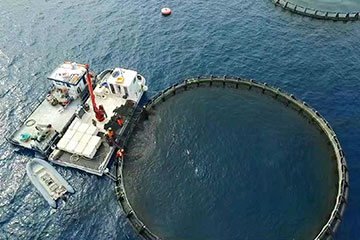 Cosa produciamo nel FLAG Golfo degli Etruschi