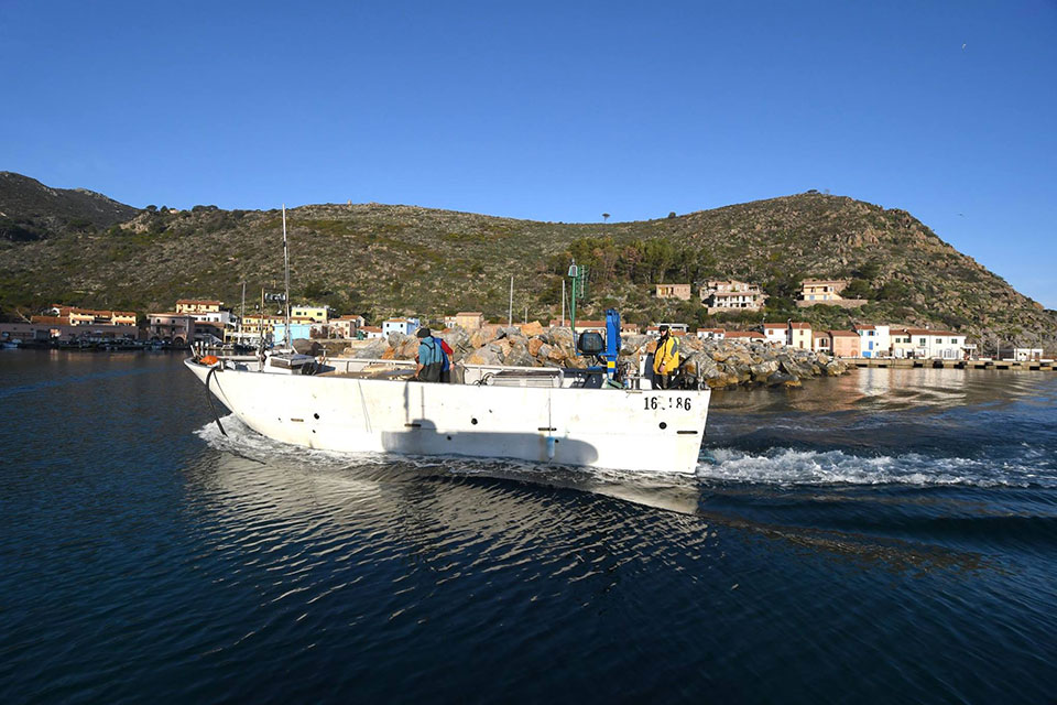 FLAG Golfo degli Etruschi
