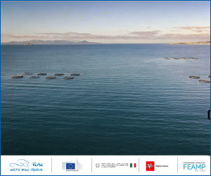 Banner FLAG Golfo degli Etruschi
